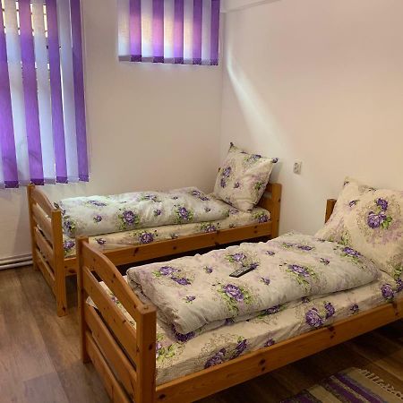 Pensiunea Casa Maria كلوج-نابوكا المظهر الخارجي الصورة